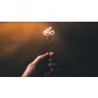 New Answers That End Old Fears, Worries, and the Feeling of Being Alone