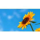 The Truth that Helps Transform the Fear of Death into the Fullness of Real Life