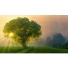Enlightened Living: Real Life Lessons in Letting Go