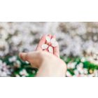 Discover the Divine Secret Behind the Law of "Ask and Receive"