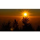Online Study Group Meeting for Monday (8/1/2022)