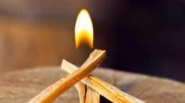 Build the Fire of Real Light