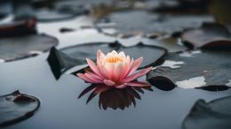 How to Find and Enter the Place of Lasting Peace (Remastered Classic Talk)