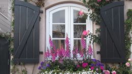 Throw Open the Shutters of the Sleeping Mind and Welcome the Light that Sets You Free