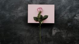 Let Love Lead You into a World Where Fear, Anger, and Frustration Can't Dwell 