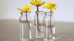 Three Living Prayers to Make the World a Lighter, Brighter Place