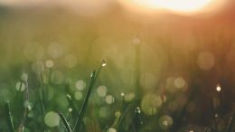 One Thing You Must Stop Doing Before You Can Start Awakening Your True Self