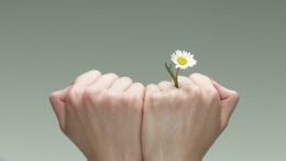 Transform Any Painful Weakness into Perfect Strength  