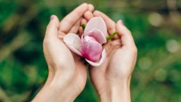 Leave the Tender Moment Alone as the Path of True Transformation (Remastered Classic Talk)