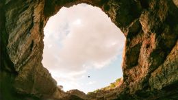 From Reaction to Revelation: The End of the Illusion of Personal Suffering