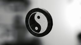 Student Q&A with Guy on "Realize the Meaning of Life by Learning to Let go and Entering Its Flow" (07/19/26)