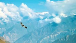 Find Personal Freedom in the Principles of Invisible Justice