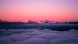 Call on the Light of Self-Understanding to See Through Dark Negative Reactions