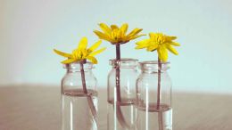 The Unimaginable 3 Stages of Self-Liberation
