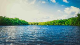 How to Put Your Life in Perfect Order Once and for All