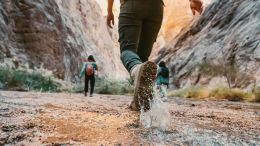How to Walk Straight Through the Dragons of Fear, Anger, Sorrow and Worry