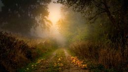 Move from the Mental How into the Spiritual Now