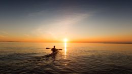 Student Q&A with Guy on "Go Beyond Painful Limitation to Realize Fearless Being" (6/30/21)