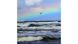 Use This Pair of Spiritual Wings to Lift You Over the Rainbow