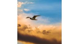 The 4 Fundamental Principles of Spiritual Freedom