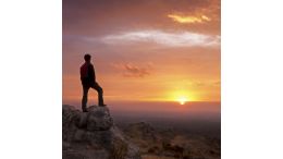 Concentrated Wisdom: How to Shortcut 30 Years of Spiritual Study