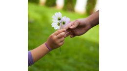Freedom to Forgive: The Power to Put the Past Behind You