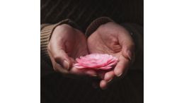 Commentary on Bringing an End to Global Conflict: The First Step in Breaking Down Borders