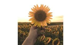 12 Steps to Spiritual Rebirth: Commentaries on the Beatitudes