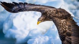 Online Study Group Meeting for Monday (12/26/2022)
