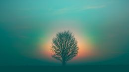 Answer the Divine "Call" and Realize All That You Are + Q&A - Saturdays with Guy (6/19/2021)