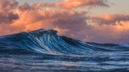 Enter Into the Safety and Strength of a Quiet Mind