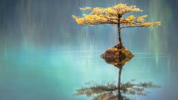 The Unseen Seasons of Seas and Shores (Blog)