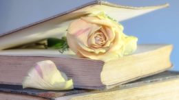 Share in the Whole Story of Your True Self