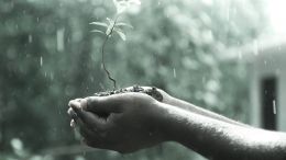 Stop Hurting and Start Healing (Student Talks)