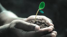 Let Love Give You Life (Student Talks)