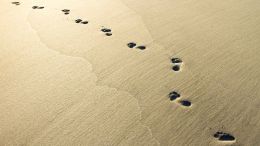 Walk Into the World of Wonder Within You