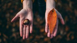 The Unseen Seed of Self-Compromise