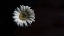 Make Contact With the Unchanging World Within