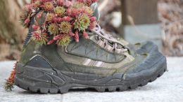 Student Reports on the 'Walk Out of the Wilderness' Exercise