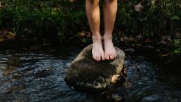 Student Report on the 'Find True Balance' Exercise