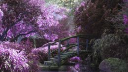 How to Bridge the Distance Between Heaven and Earth