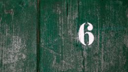 The Six Traits of the 'Cancerous-Celf'