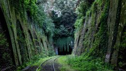 Escape the Prison Called 'The Path of Least Resistance'
