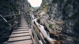 The First Step to Realizing True Self-Command
