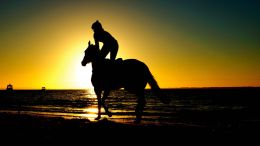 Student Reports on the 'Hold Onto the Reins' Exercise