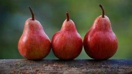 7 Words That are the Seed and the Fruit of Self-Liberation