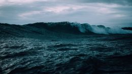 How to Step Out of the Dark Waves of Any Unwanted Moment