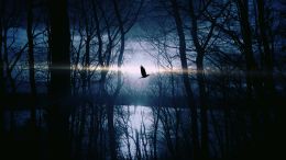 The Secret of Being Karma Free