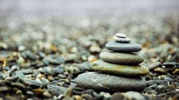 The Mind Aware with Dana Wilde