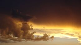 The Triumph of God's Life